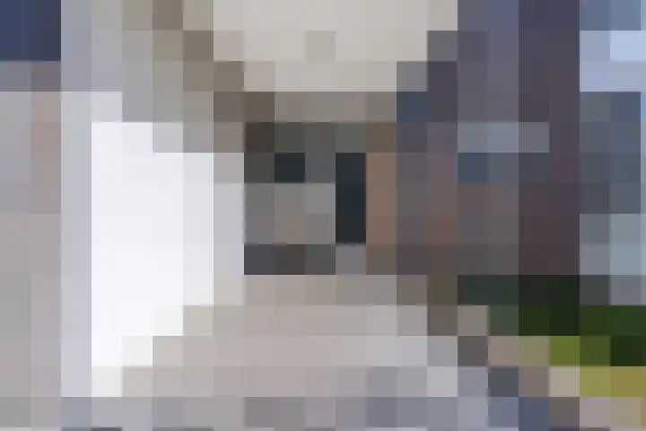 Mendelssohnlaan 3 D Eindhoven thumbnail 7