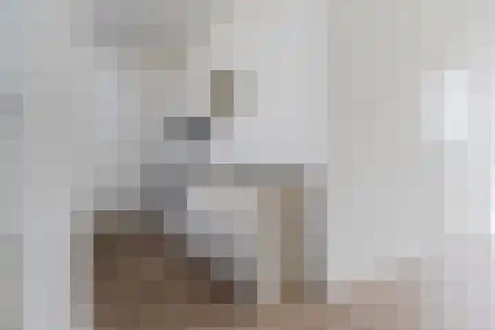 Mendelssohnlaan 3 D Eindhoven thumbnail 8