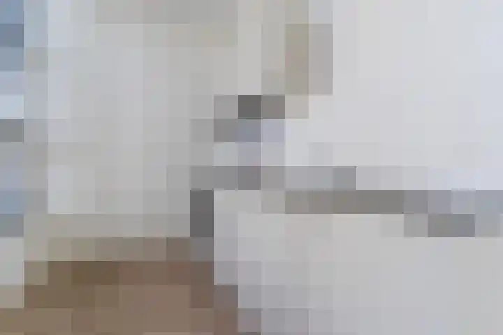 Mendelssohnlaan 3 D Eindhoven thumbnail 9