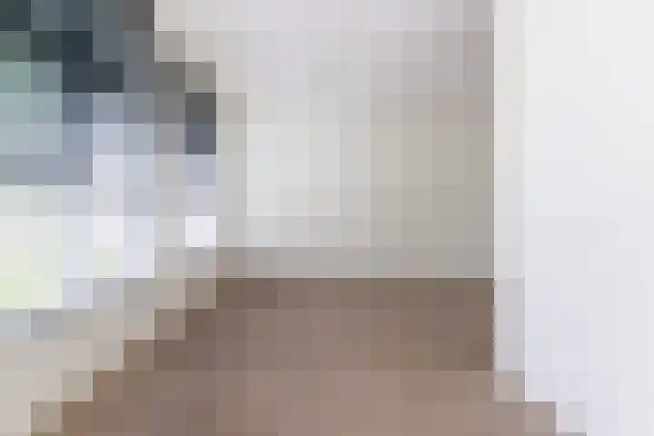 Mendelssohnlaan 3 D Eindhoven thumbnail 9