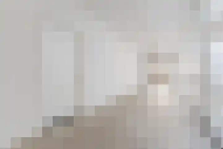 Mendelssohnlaan 3 D Eindhoven thumbnail 9