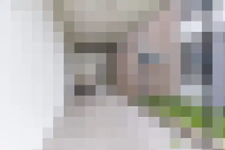 Mendelssohnlaan 3 D Eindhoven thumbnail 9