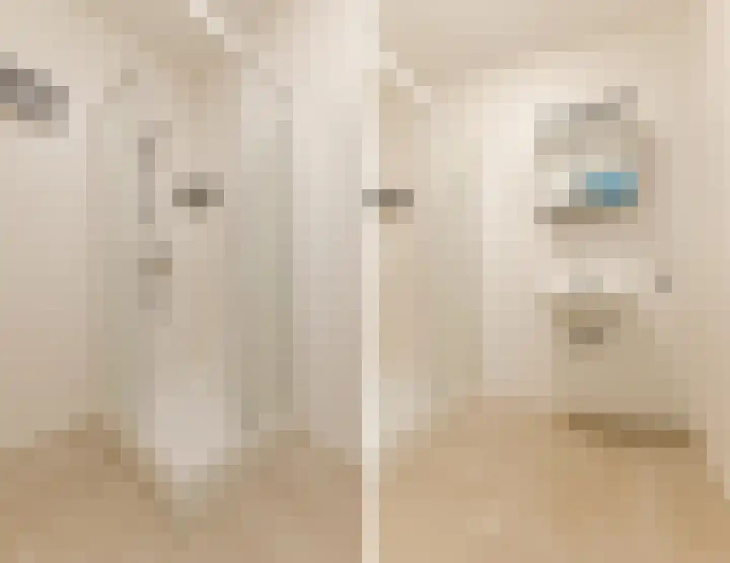 Mendelssohnlaan 3 E Eindhoven thumbnail 16