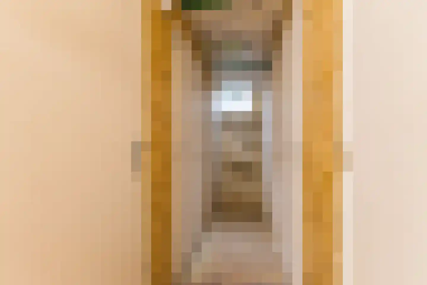 Mendelssohnlaan 3 E Eindhoven thumbnail 21