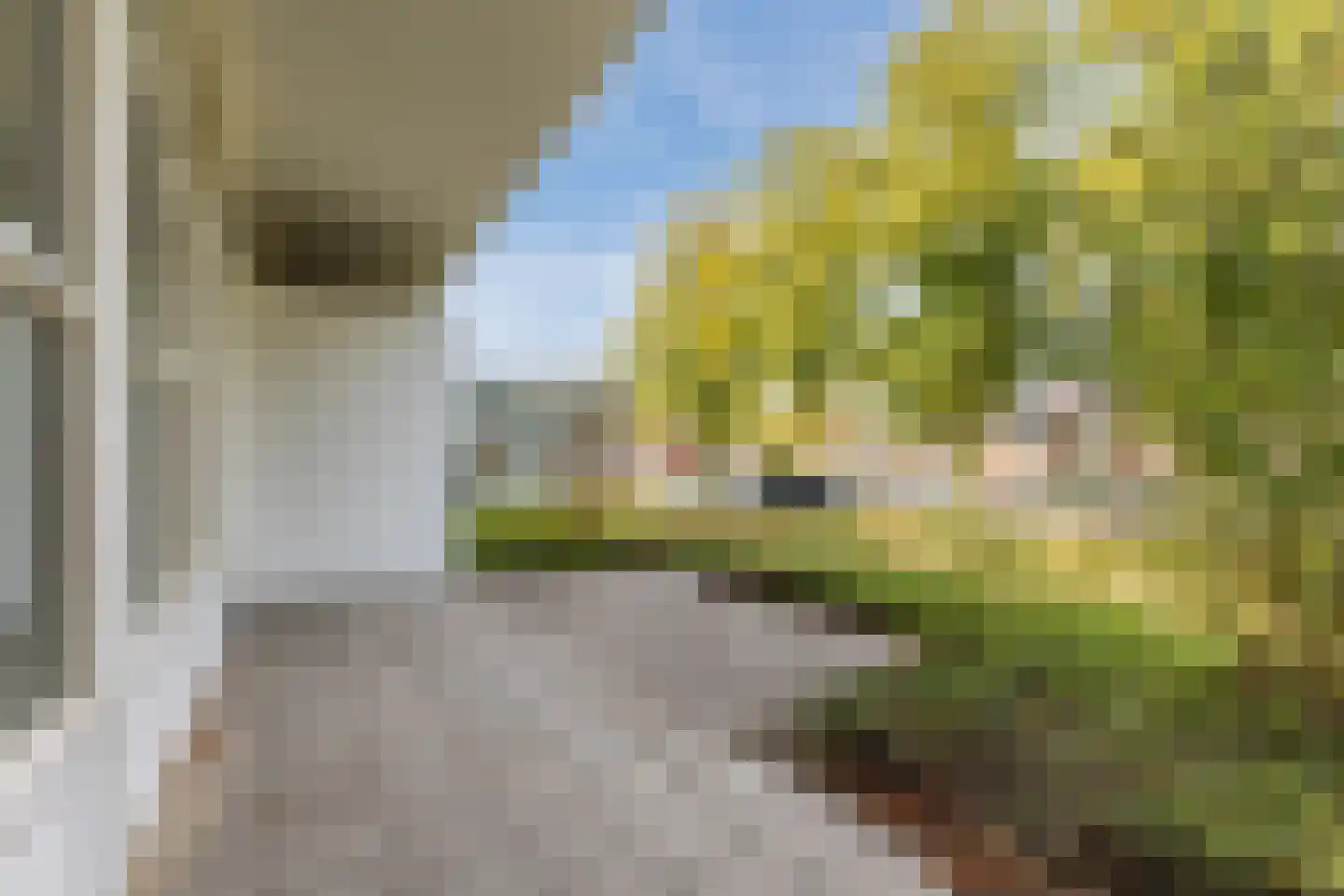 Mendelssohnlaan 3 E Eindhoven thumbnail 5