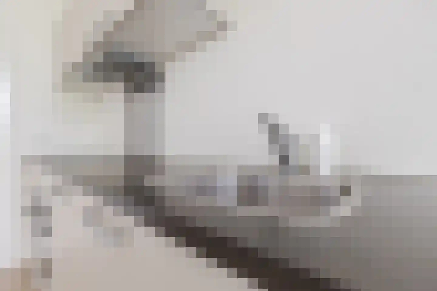 Mendelssohnlaan 3 Eindhoven thumbnail 19