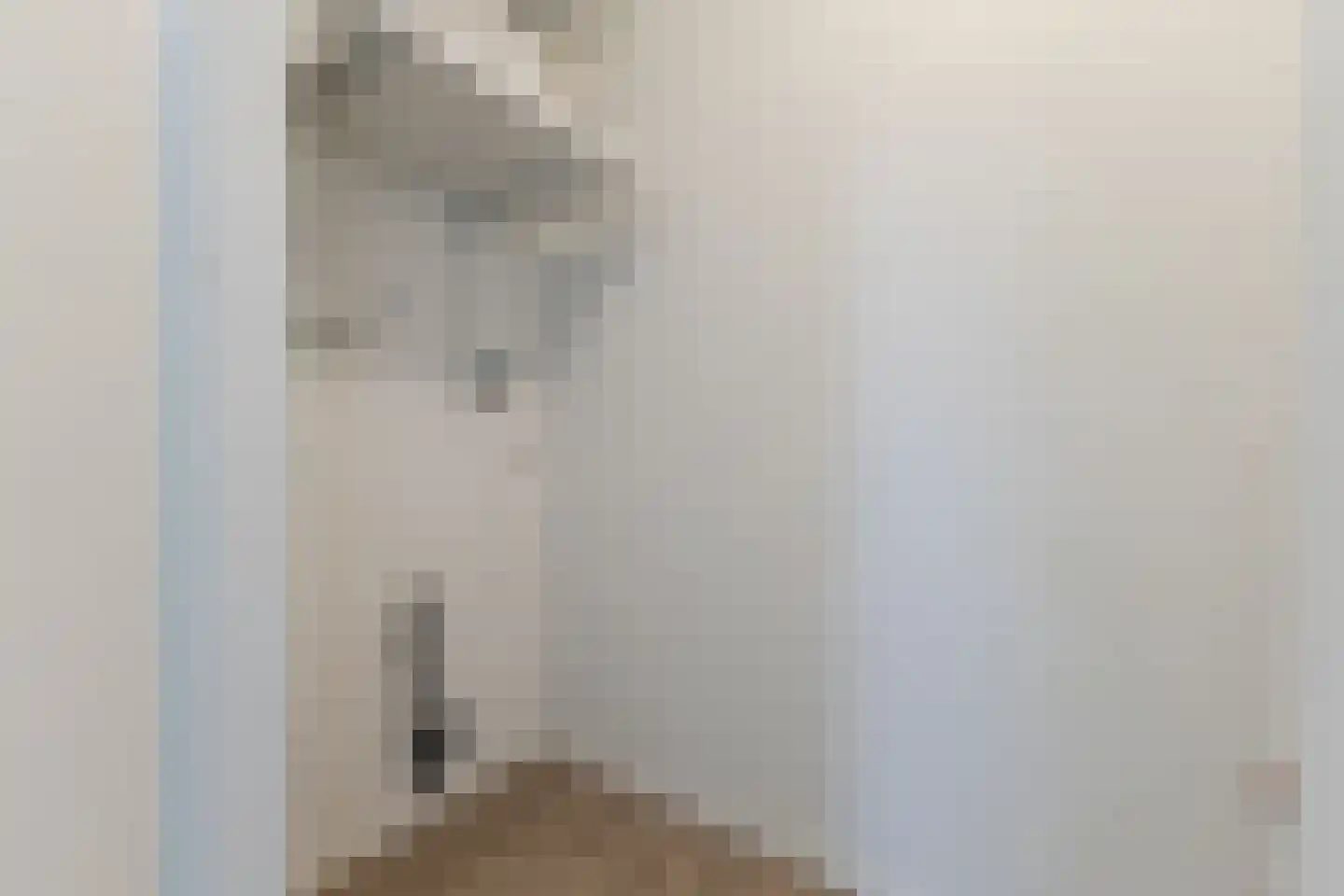 Mendelssohnlaan 3 Eindhoven thumbnail 24
