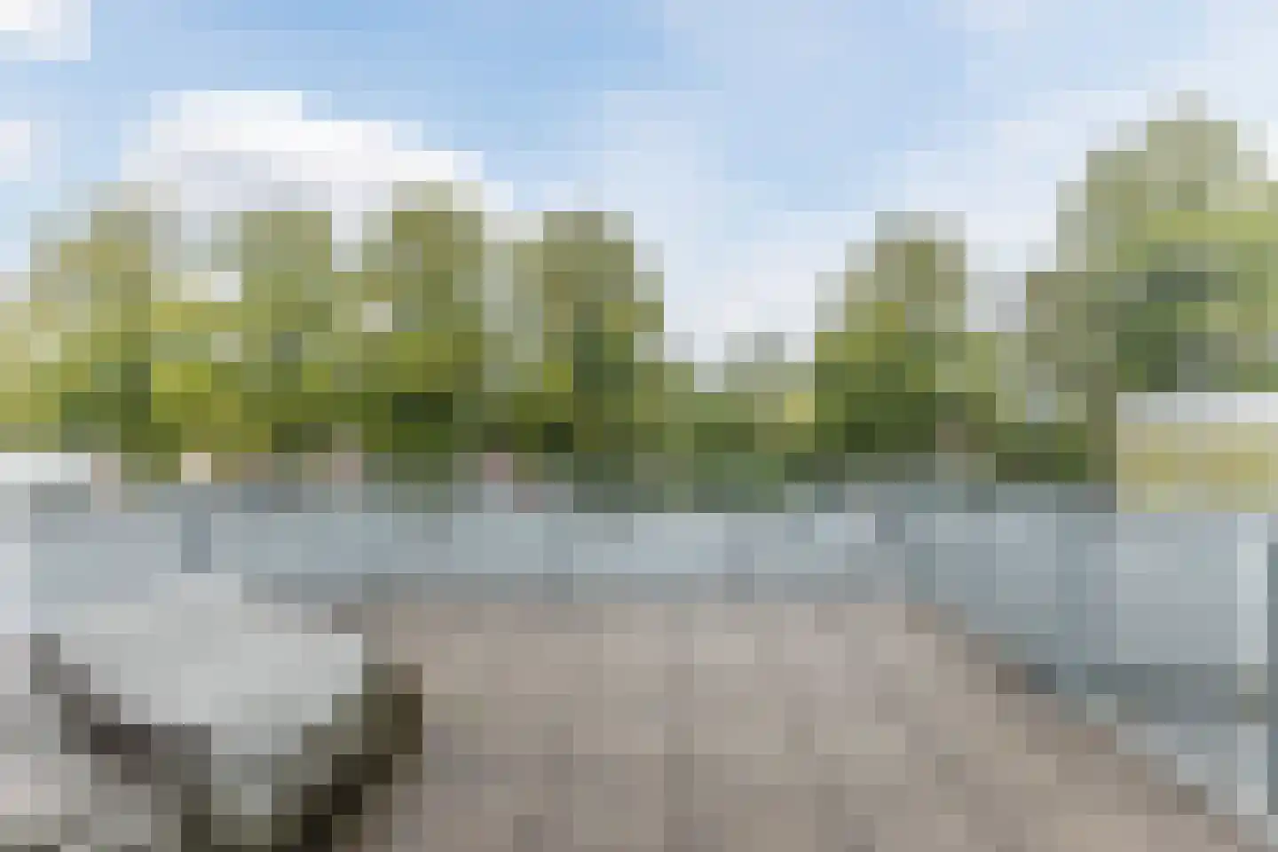 Mendelssohnlaan 3 Eindhoven thumbnail 27