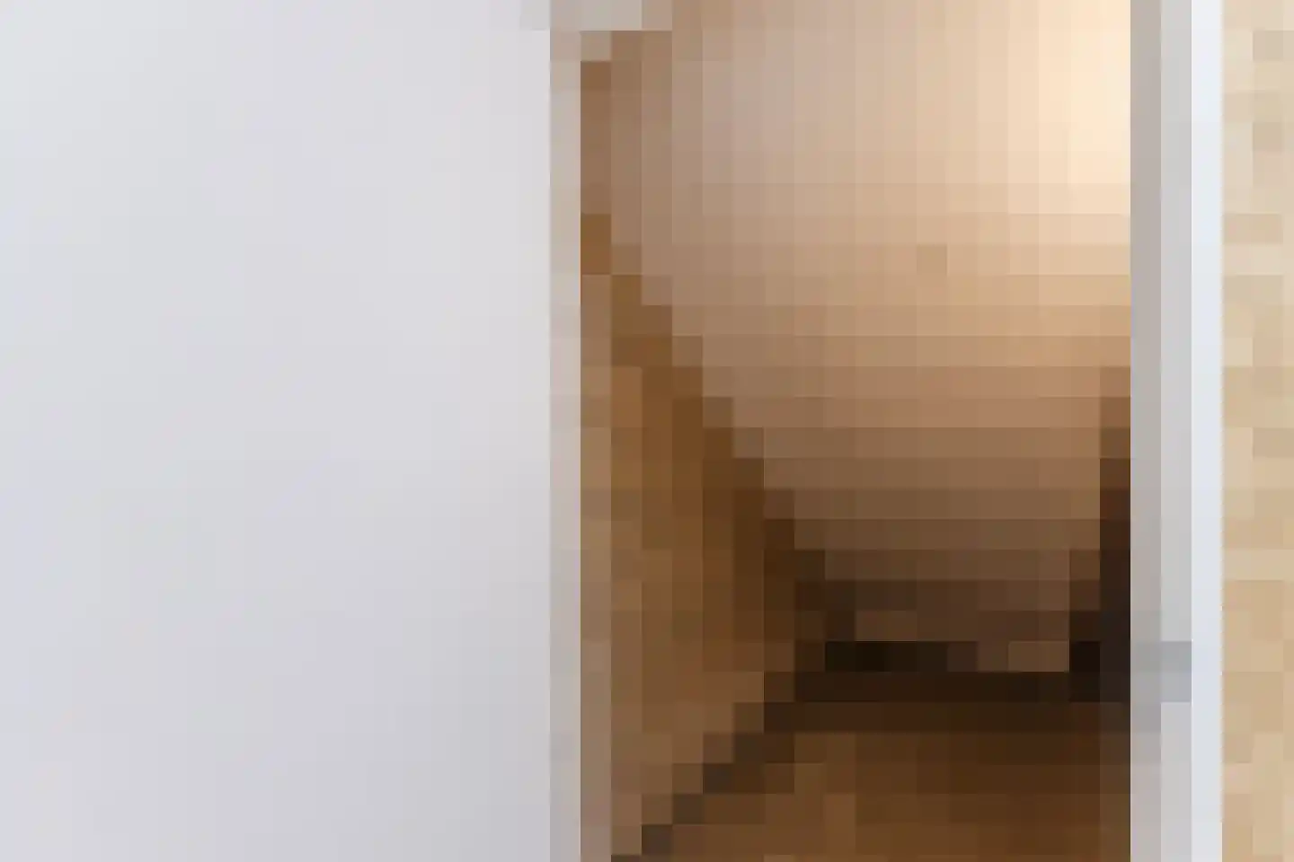 Mendelssohnlaan 3 Eindhoven thumbnail 31