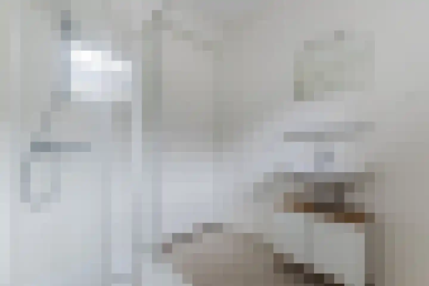 Mendelssohnlaan 3 Eindhoven thumbnail 4