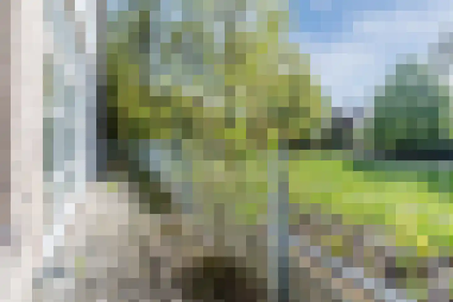 Mendelssohnlaan 3 Eindhoven thumbnail 5