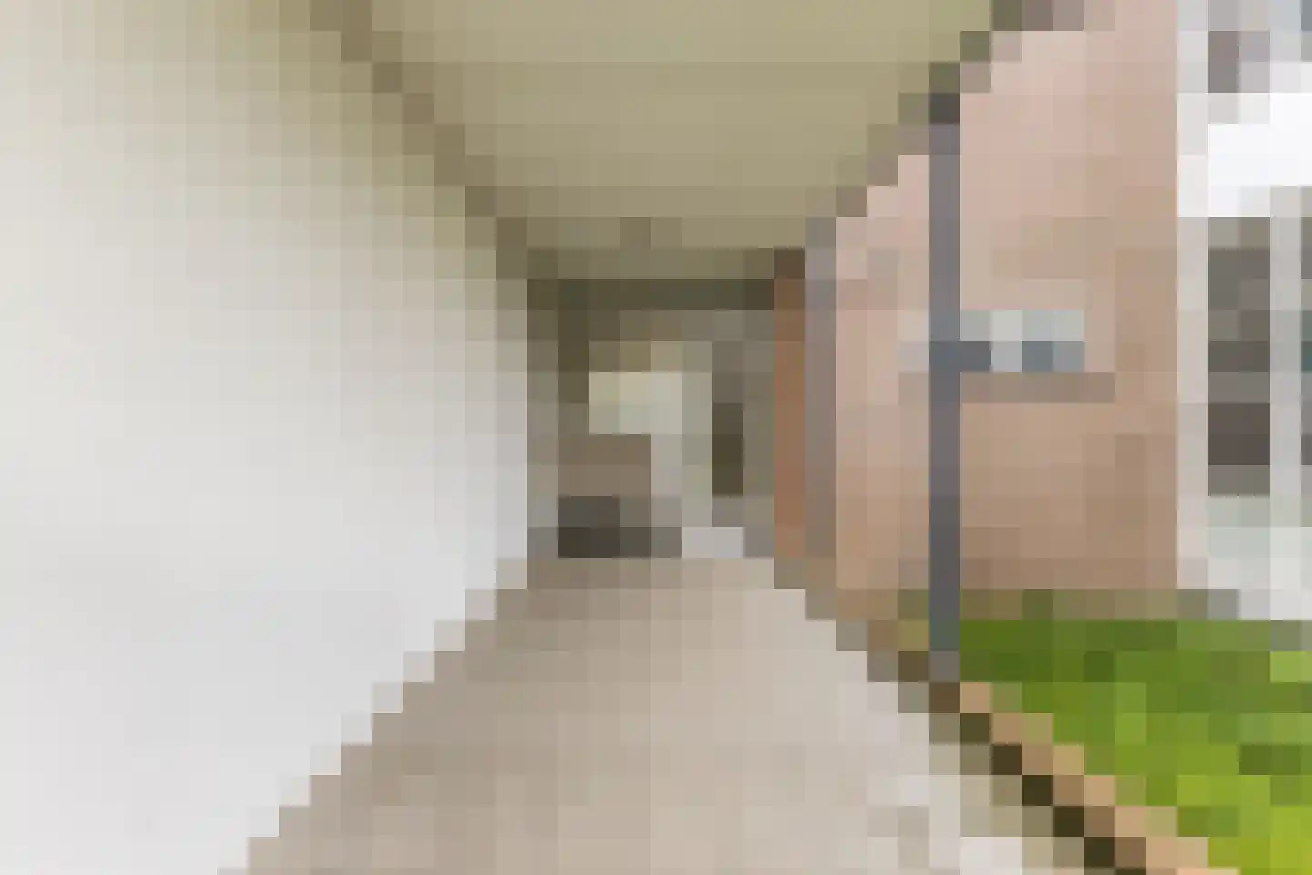 Mendelssohnlaan 3 Eindhoven thumbnail 9