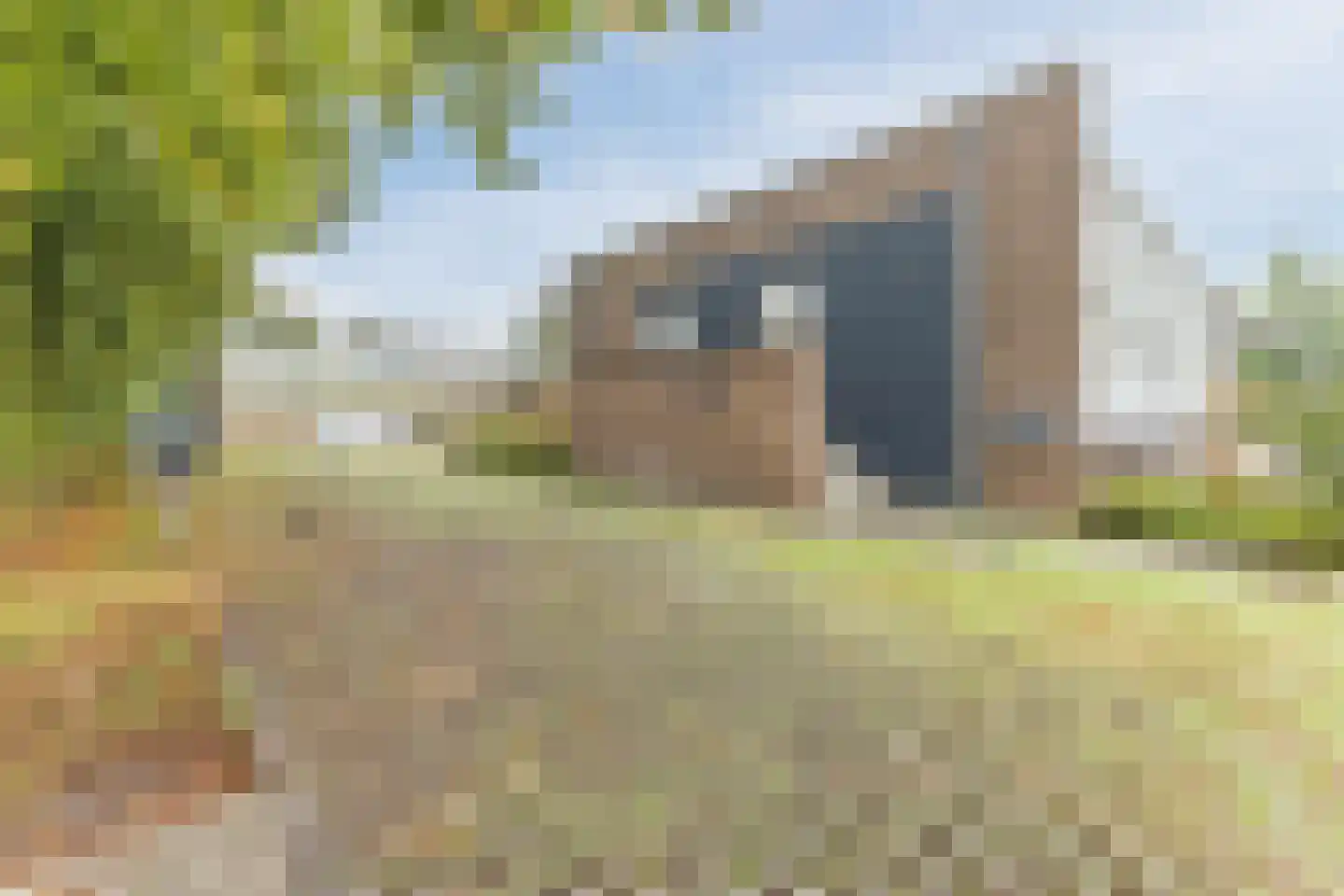 Mendelssohnlaan 3 G Eindhoven thumbnail 22