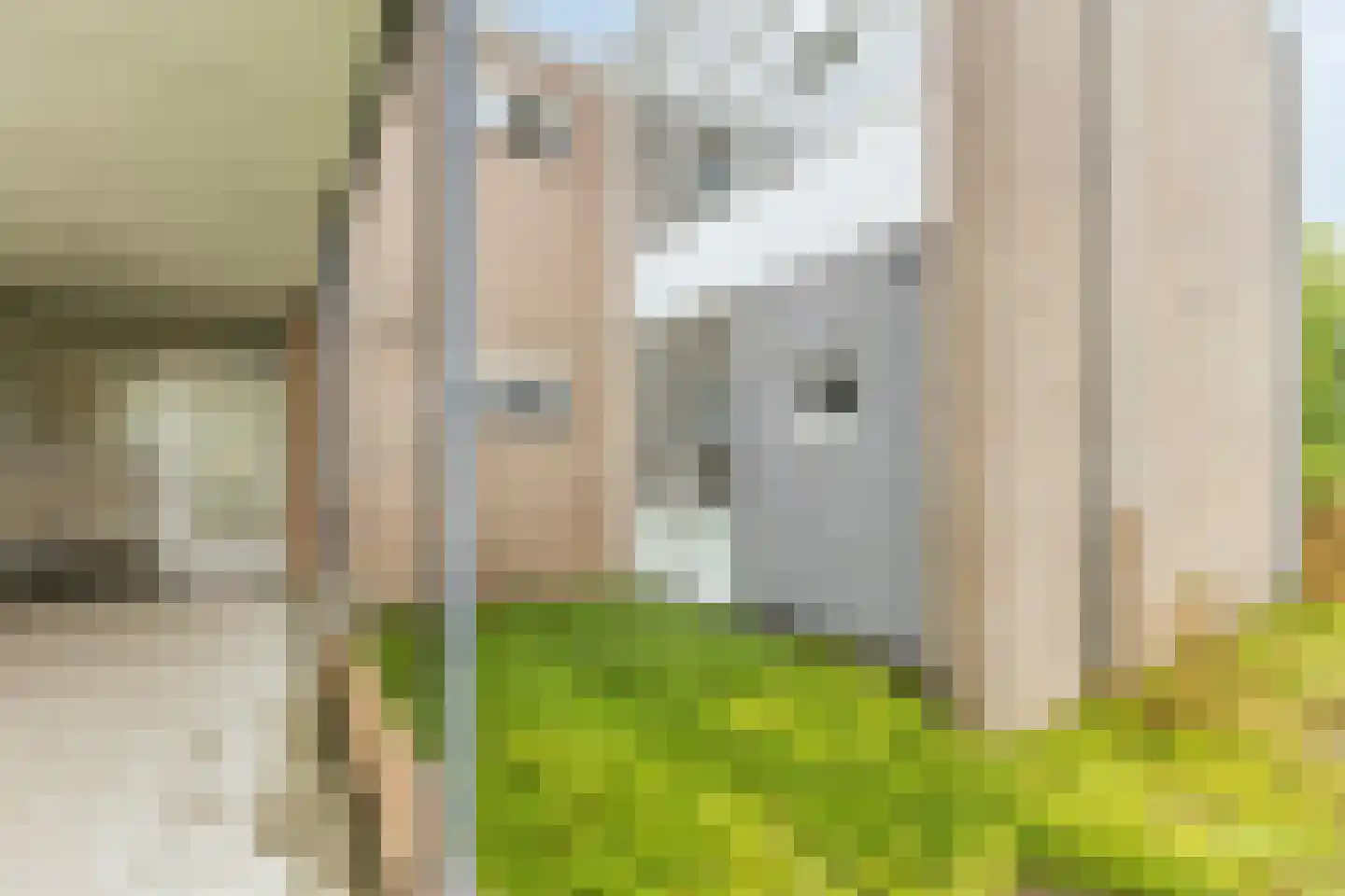 Mendelssohnlaan 3 G Eindhoven thumbnail 8