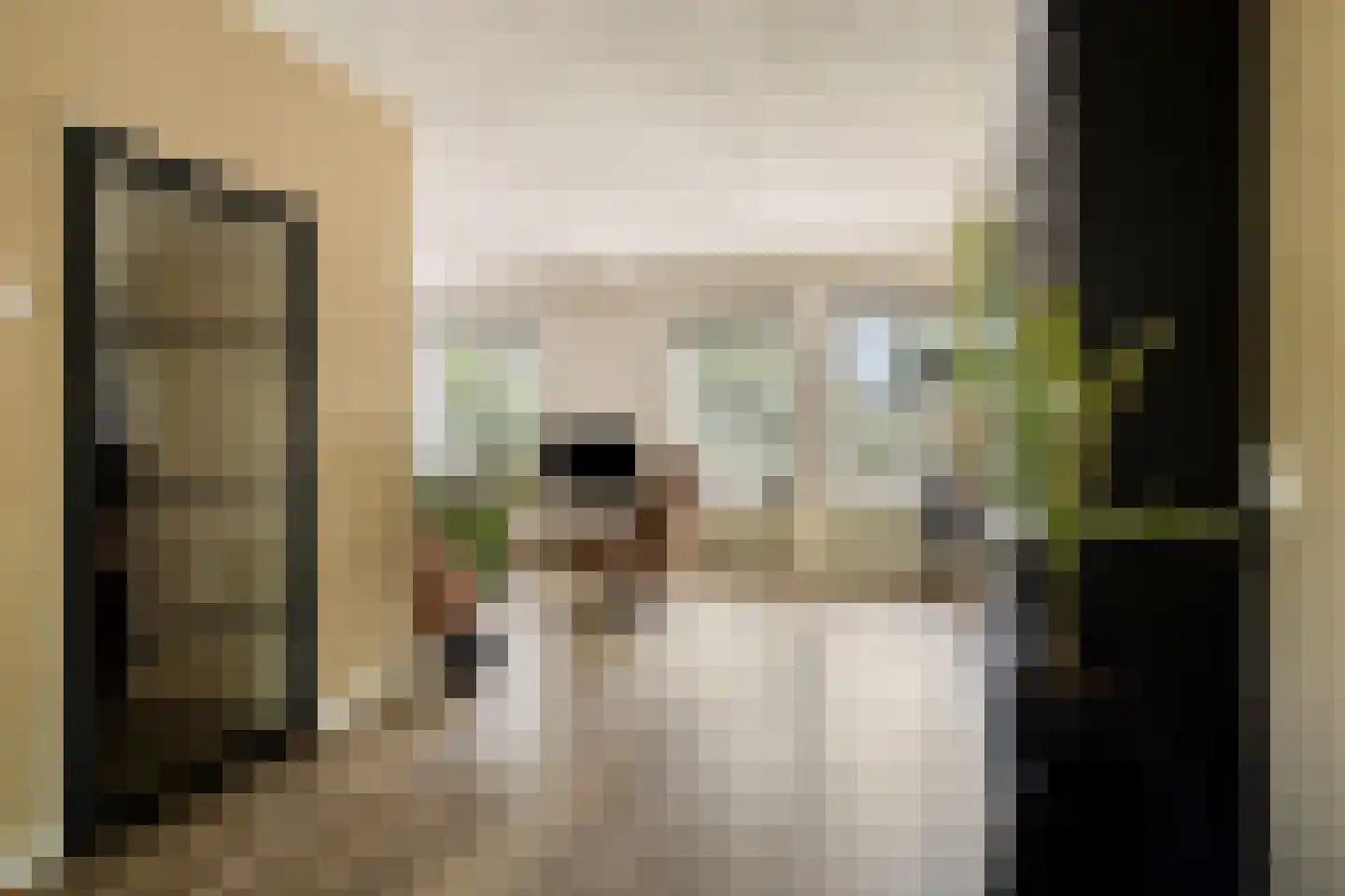 Mendelssohnlaan 37 Assen thumbnail 13