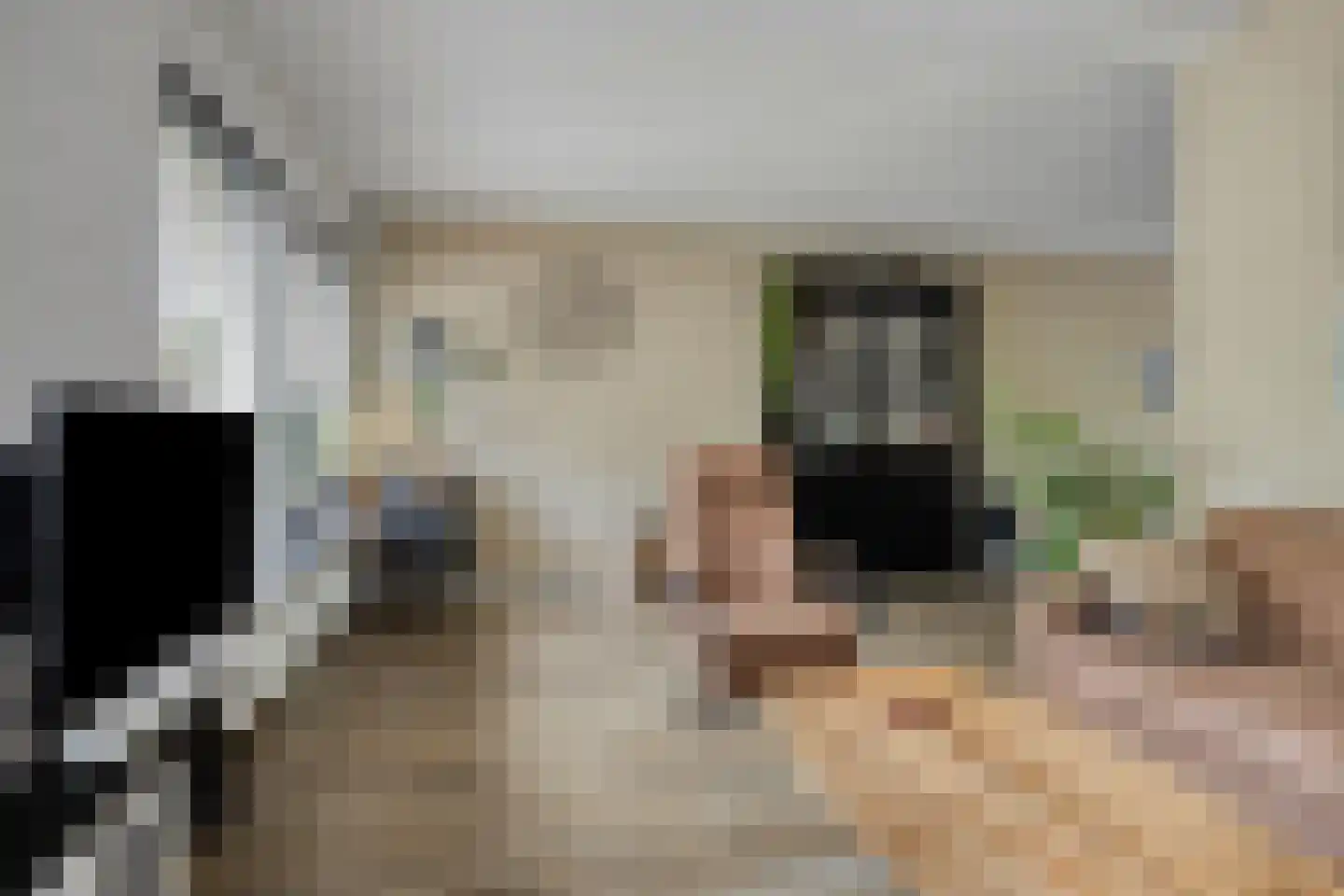 Mendelssohnlaan 37 Assen thumbnail 16