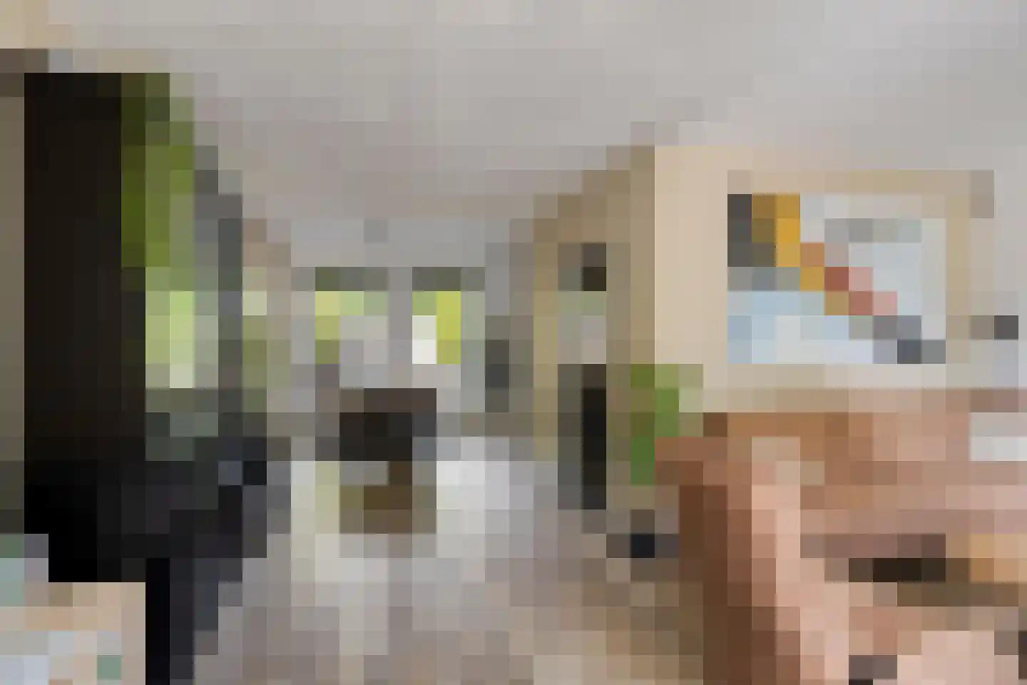 Mendelssohnlaan 37 Assen thumbnail 17