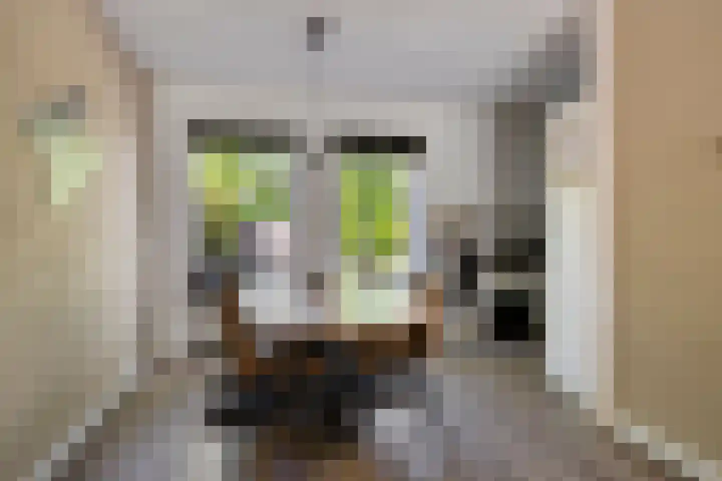 Mendelssohnlaan 37 Assen thumbnail 18