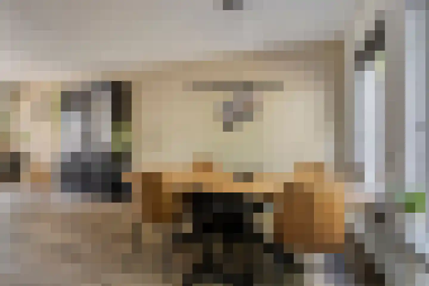 Mendelssohnlaan 37 Assen thumbnail 21