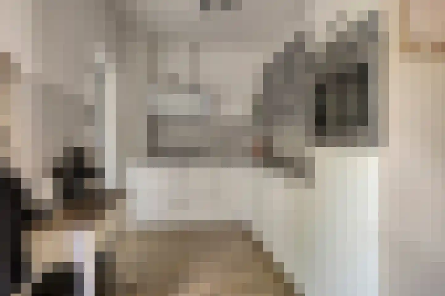 Mendelssohnlaan 37 Assen thumbnail 22