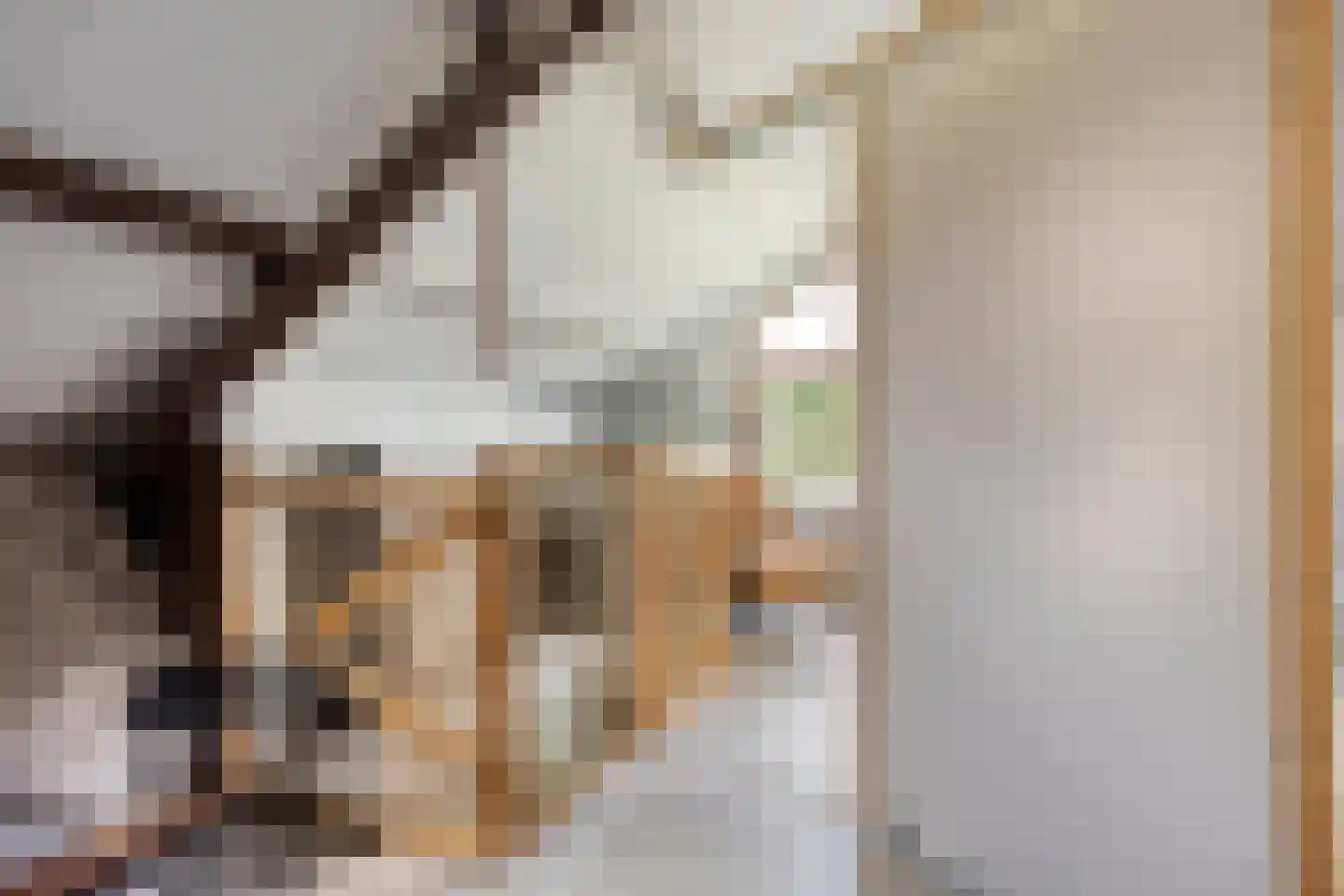Mendelssohnlaan 37 Assen thumbnail 41