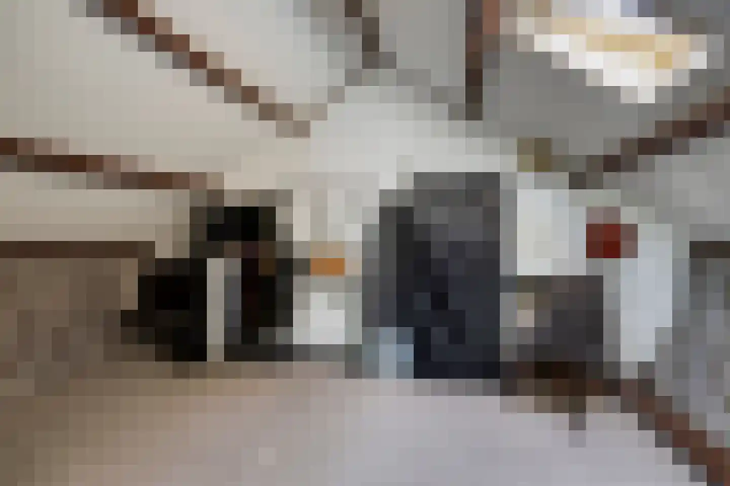 Mendelssohnlaan 37 Assen thumbnail 42