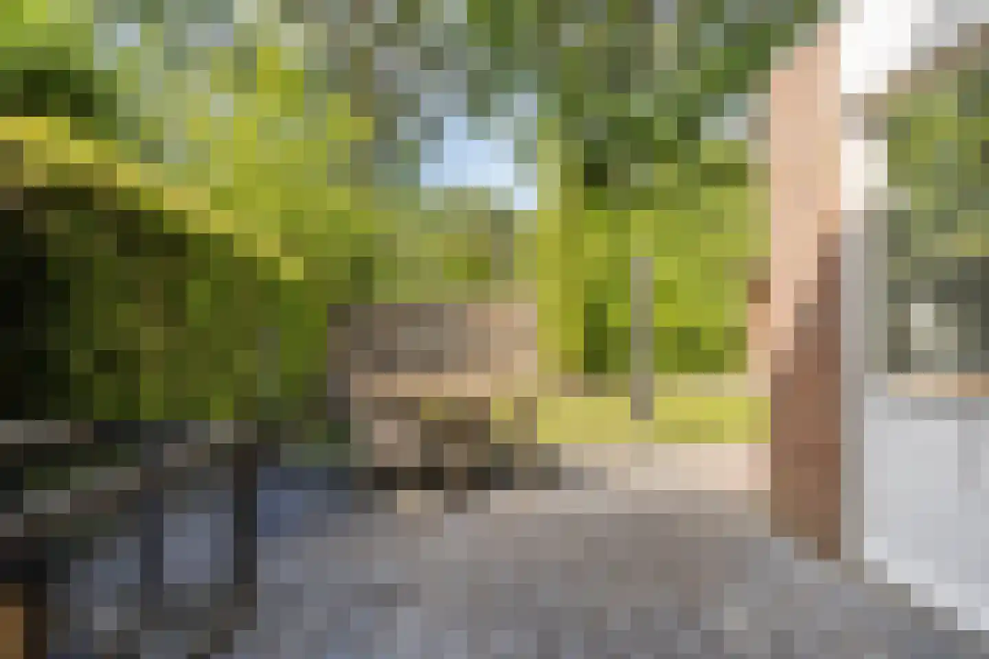 Mendelssohnlaan 37 Assen thumbnail 47