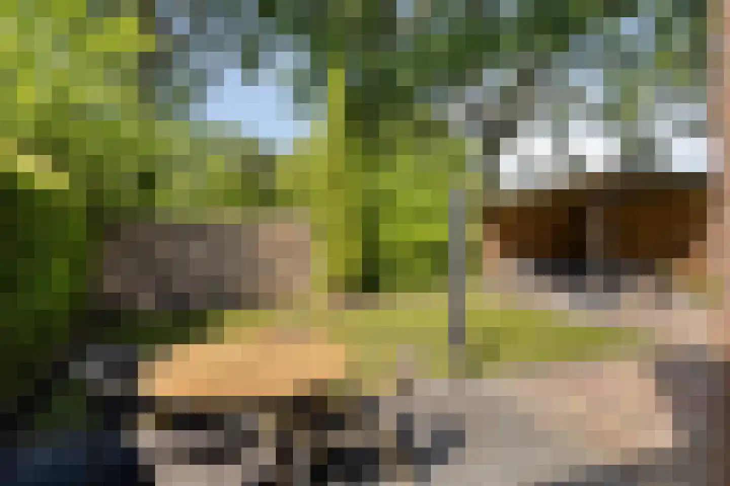 Mendelssohnlaan 37 Assen thumbnail 48