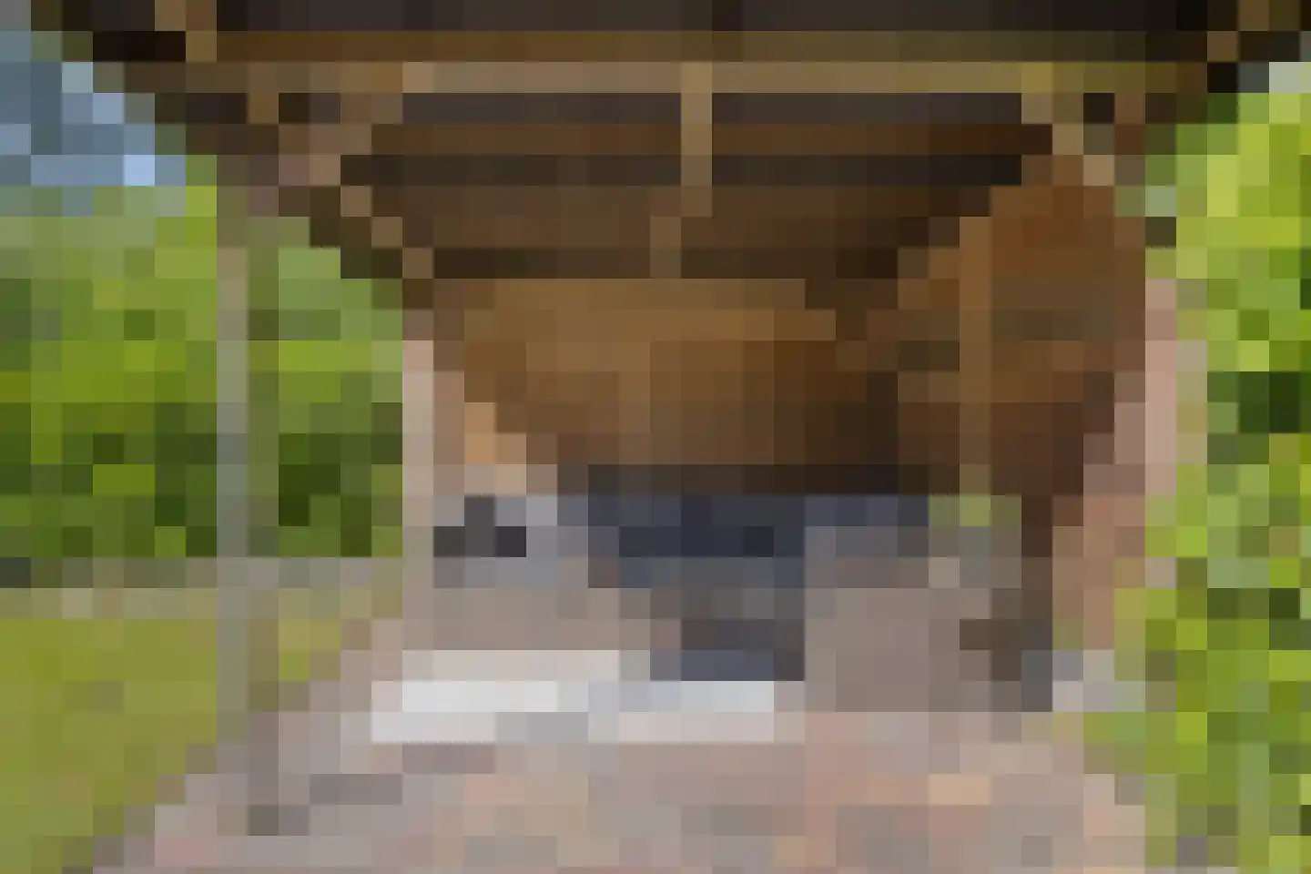 Mendelssohnlaan 37 Assen thumbnail 49