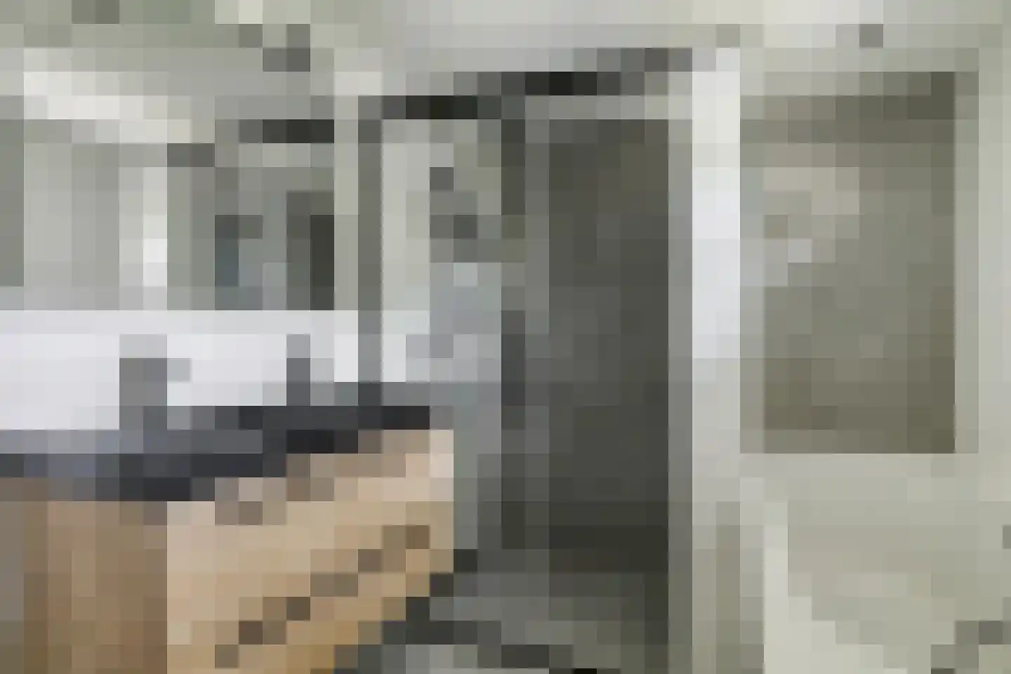 Mendelssohnlaan 37 Assen thumbnail 5