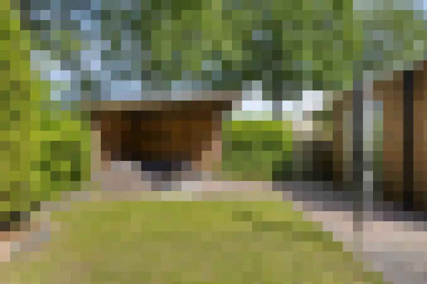Mendelssohnlaan 37 Assen thumbnail 50
