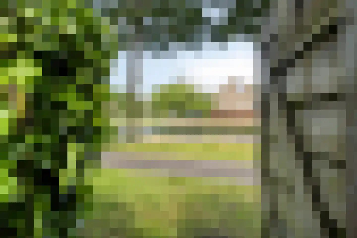 Mendelssohnlaan 37 Assen thumbnail 51
