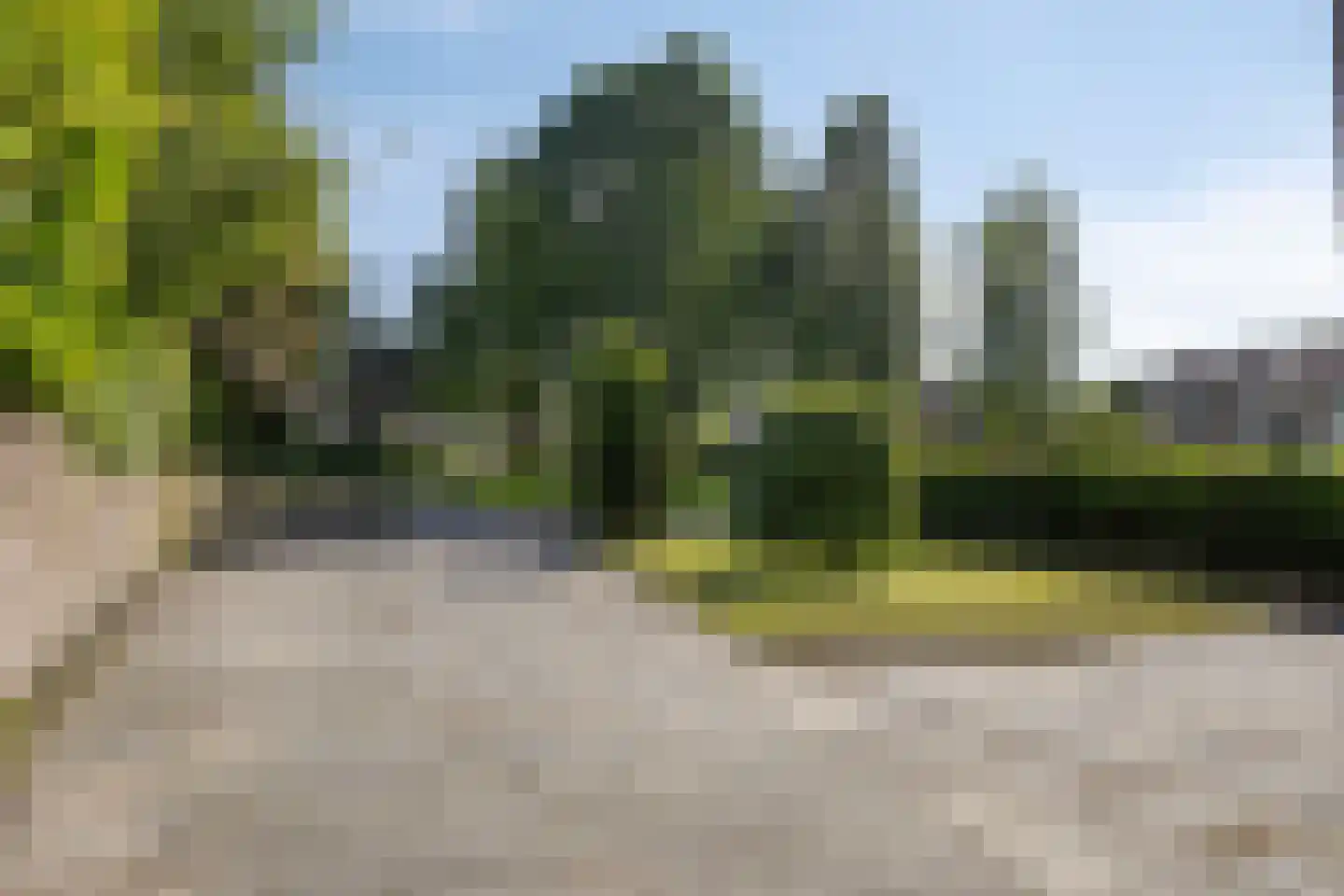 Mendelssohnlaan 37 Assen thumbnail 56