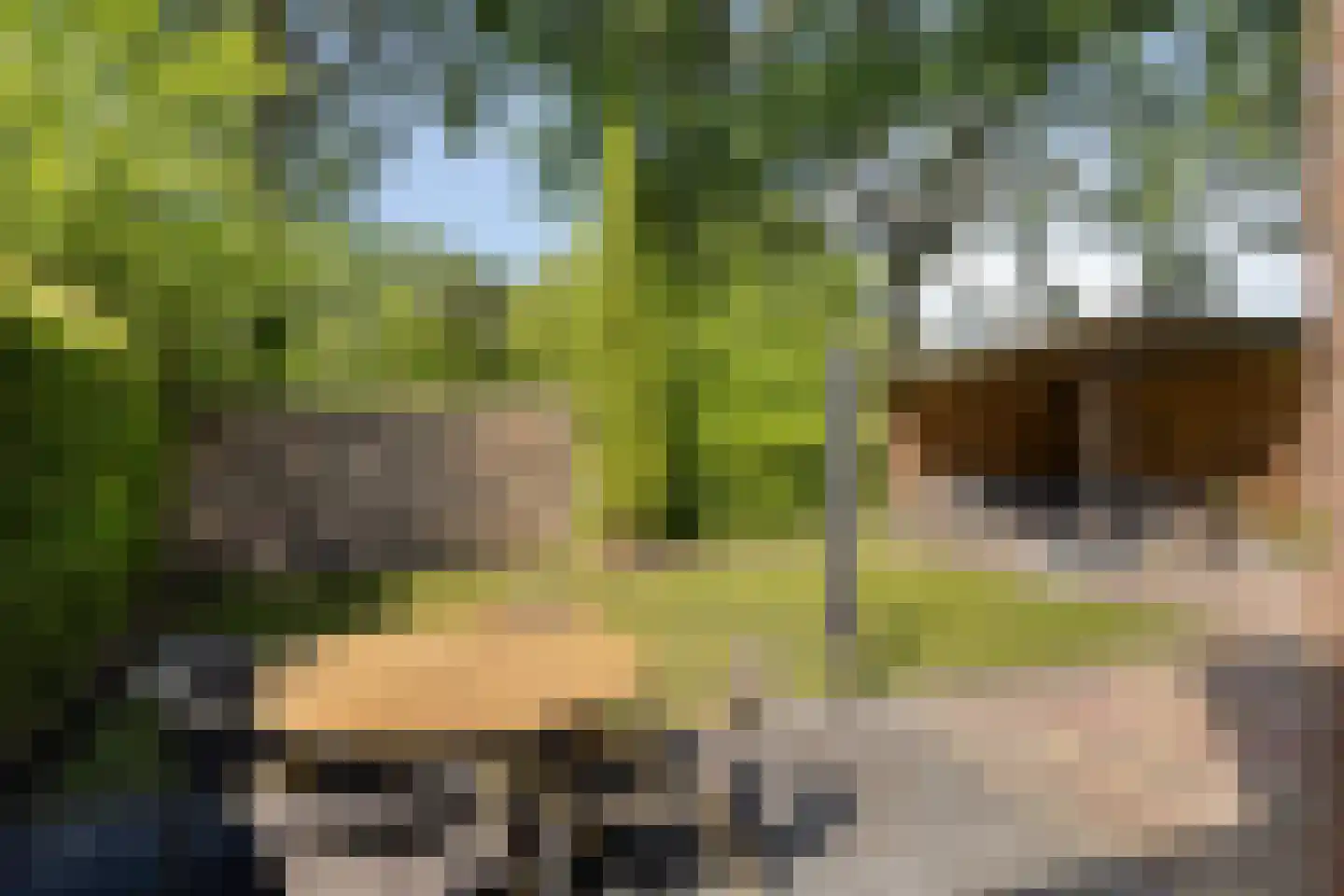 Mendelssohnlaan 37 Assen thumbnail 6