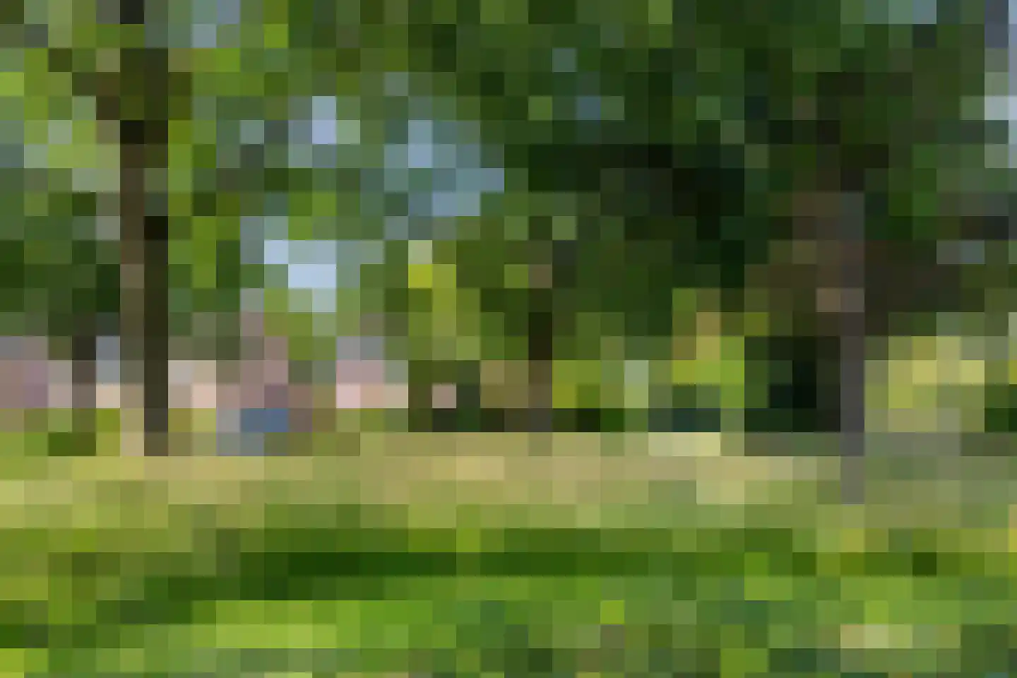 Mendelssohnlaan 37 Assen thumbnail 61