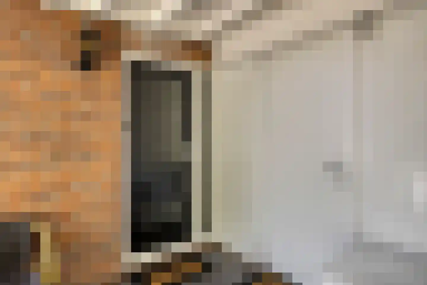 Mendelssohnlaan 37 Assen thumbnail 9