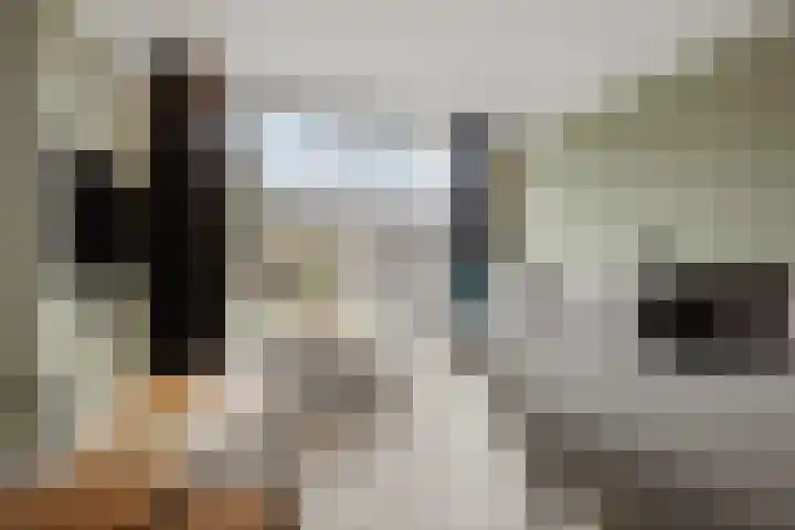 Mendelssohnlaan 40 Voorthuizen thumbnail 10