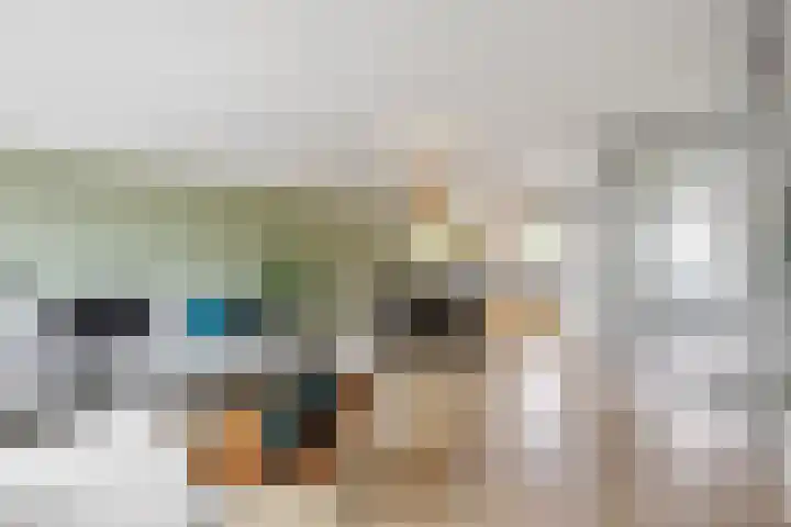 Mendelssohnlaan 40 Voorthuizen thumbnail 11