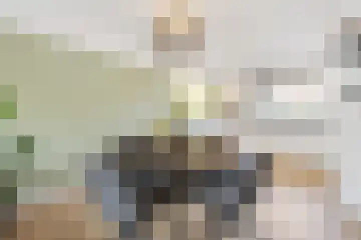 Mendelssohnlaan 40 Voorthuizen thumbnail 12