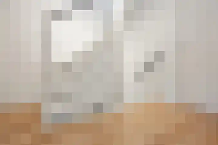 Mendelssohnlaan 40 Voorthuizen thumbnail 17