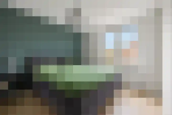 Mendelssohnlaan 40 Voorthuizen thumbnail 18