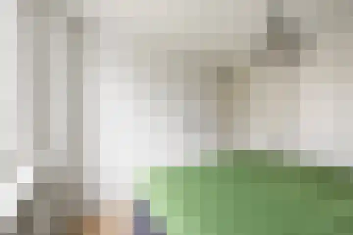 Mendelssohnlaan 40 Voorthuizen thumbnail 19