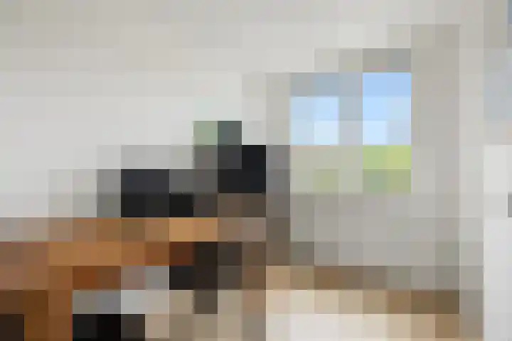 Mendelssohnlaan 40 Voorthuizen thumbnail 21