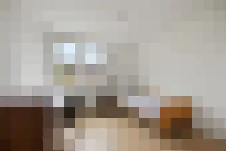 Mendelssohnlaan 40 Voorthuizen thumbnail 22