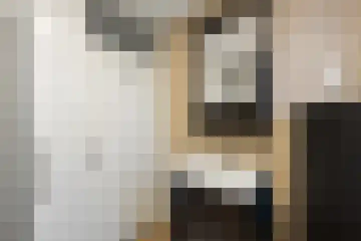 Mendelssohnlaan 40 Voorthuizen thumbnail 25