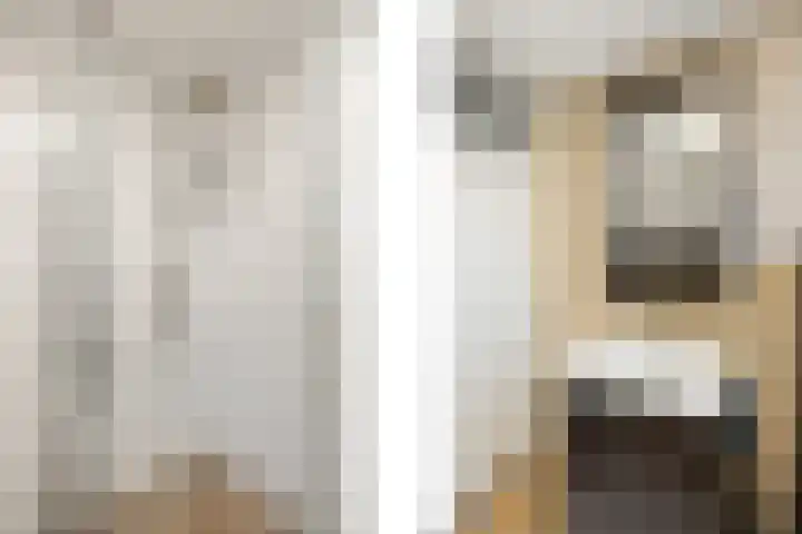 Mendelssohnlaan 40 Voorthuizen thumbnail 26