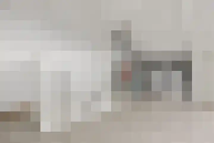 Mendelssohnlaan 40 Voorthuizen thumbnail 28