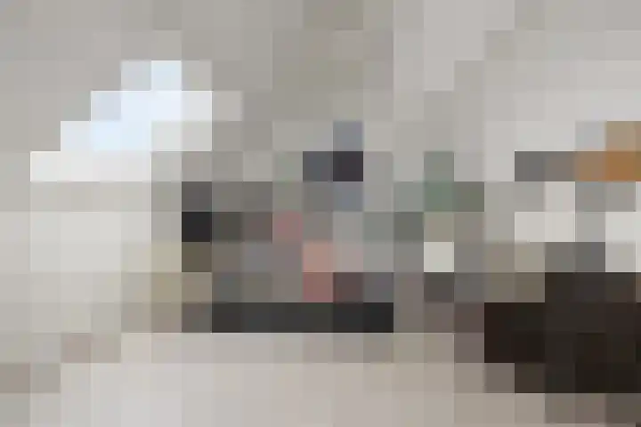 Mendelssohnlaan 40 Voorthuizen thumbnail 29