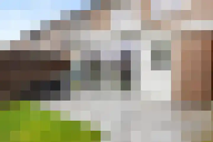 Mendelssohnlaan 40 Voorthuizen thumbnail 33
