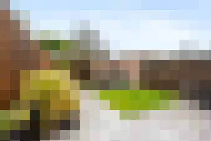 Mendelssohnlaan 40 Voorthuizen thumbnail 35